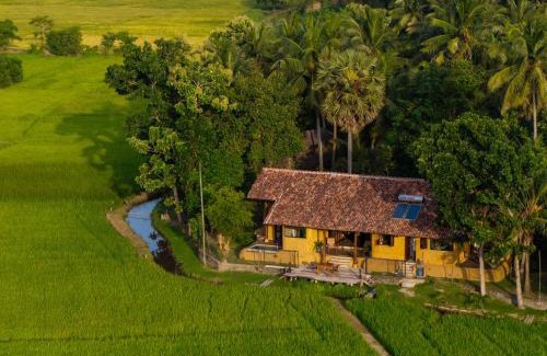 Negombo Hotel | Kirindi Paddy Isle