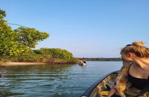 Kurinchanpitiya House | kite Paradise Resort