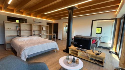 Guebwiller Apartment | KITTERLELODGE Suite 1 à 5 personnes avec vue