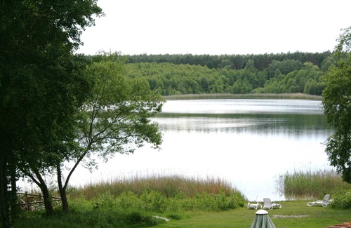 Muritz Apartment | Kiwi Apartment 2 - KIWI Apartments at the Dreier Lake