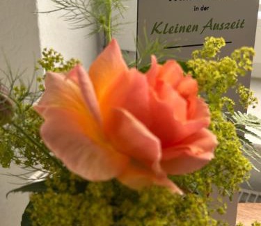 Mengershausen Apartment | Kleine Auszeit