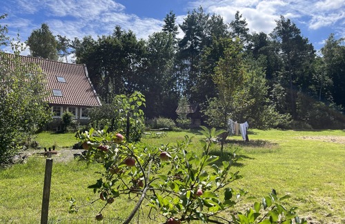 Detmold Apartment | Kleine Ferienwohnung mit Kaminofen Mitten im Grünen