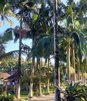 Pomerode House | Kleinenhaus