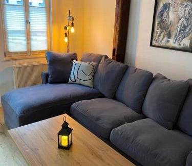Halberstadt Apartment | Kleines Harztor