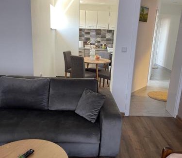 Prokuplje Apartment | Kocić apartmani