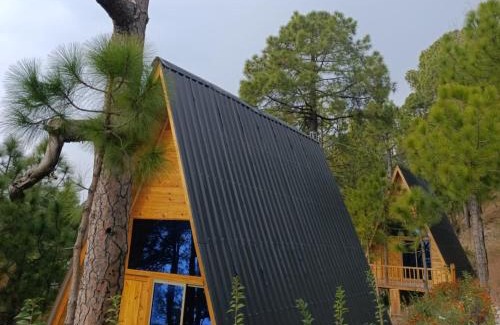 Murree Resort | KohsarNagar