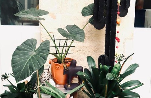 Capucins - Victoire Bed & Breakfast | Koko & Baobab
