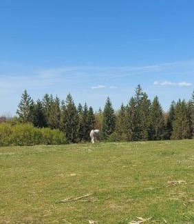 Konjska Reka House | Koliba Liška