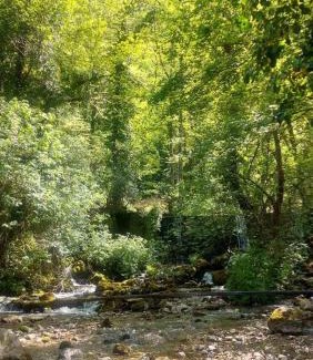 Konjska Reka House | Koliba Liška