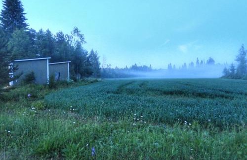 Rautjarvi Apartment | KoloCabins - Hiitolanjoki 4