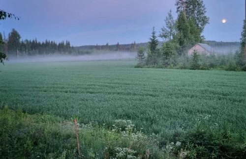 Rautjarvi Apartment | KoloCabins - Hiitolanjoki 4