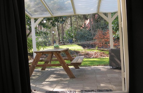 Norg Cottage | Kom tot rust en ontspanning in het bos van Norg (Drenthe) Met alle faciliteiten