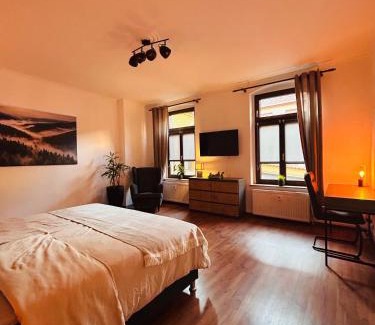 Lutherstadt Wittenberg Apartment | Komfort trifft Kultur - Premium-Apartment mit Sauna