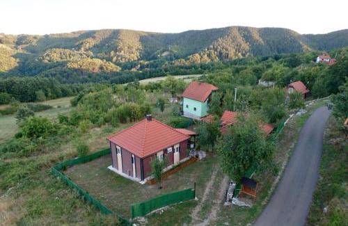 Bajina Basta Villa | Konak kod munje