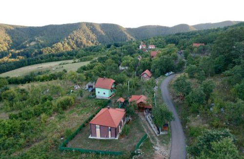 Bajina Basta Villa | Konak kod munje