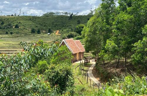 Kon Plong Cabin | KONKE RUỘNG FARMSTAY