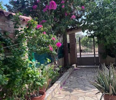 Chalcis Villa | Kosta's elegant house