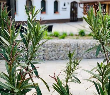 Kesztolc House | Kostel Panzió