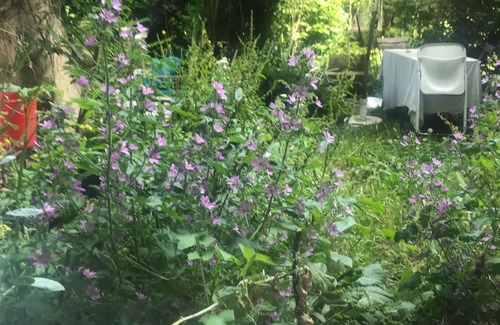 Friedrichshain-Kreuzberg Apartment | Kotti D' Azur, apartment with terrace, garden & 2 cats in the center of Berlin