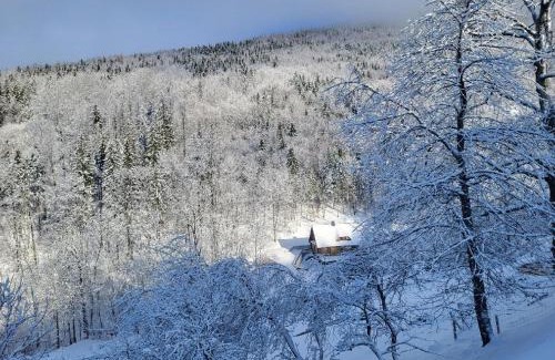 Krasna Cabin | Krásná chatička
