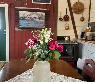 Ersfjordbotn Ski Chalet | Kræmarvika Lodge