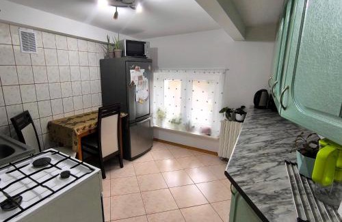 Grudziadz Apartment | Królewska