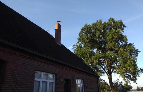 Bleckede Apartment | Krötenhof Barförde