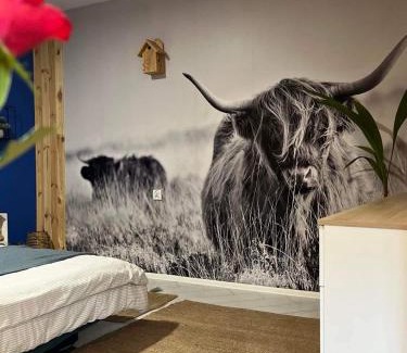 Chelm Apartment | Kresy Wschodnie