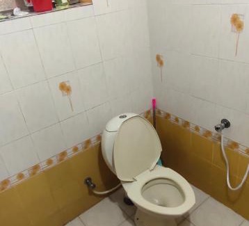 Kuppaayil Apartment | KRISHNA ROYAL Temple view