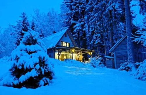 Krpacovo Cabin | Krpáčovo, Nízke Tatry - chata na kraji lesa