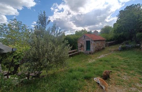 Citluk House | Kuća za odmor Milica