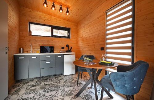 Slanic-Moldova House | Kub Grand View