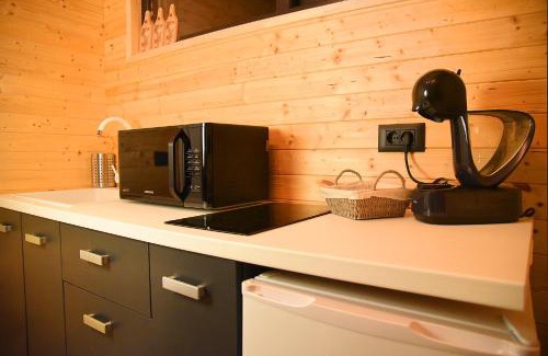 Slanic-Moldova House | Kub Grand View