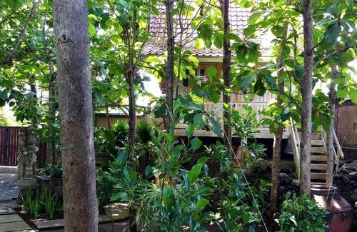 Buleleng House | Kubu Reod