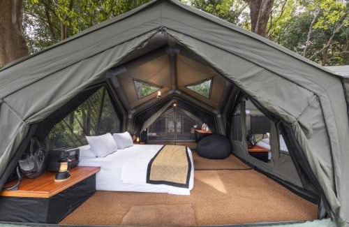 Panama Other | Kumana Under Canvas
