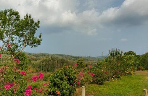 Somvarpet House | Kumbargadde Homestay