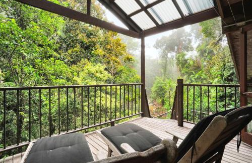 Kuranda House | Kuranda Rainforest Chalet