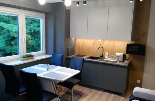 Porabka Apartment | Kurort Kozubnik Apartament 33 Wellness &SPA