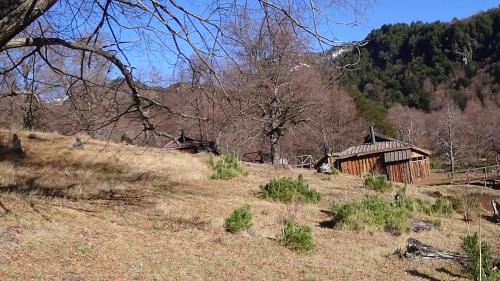 Curacautin Cabin | KuyKuy Lodge