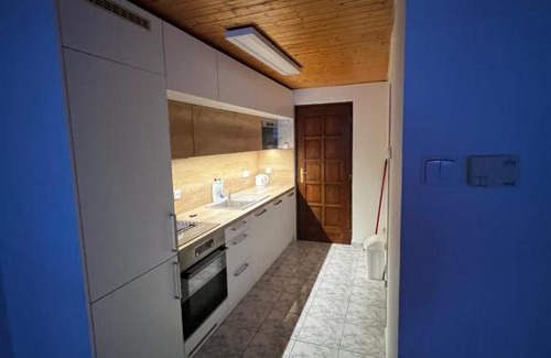 Litomerice Apartment | Květinová
