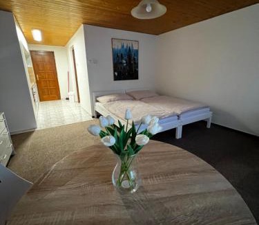 Litomerice Apartment | Květinová