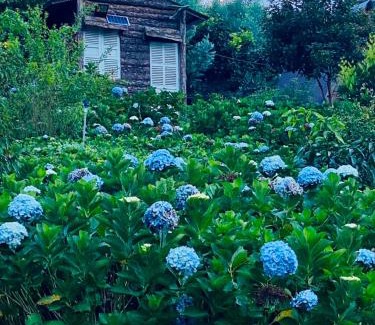 Da Lat Hotel | Làng Quê Farm Stay
