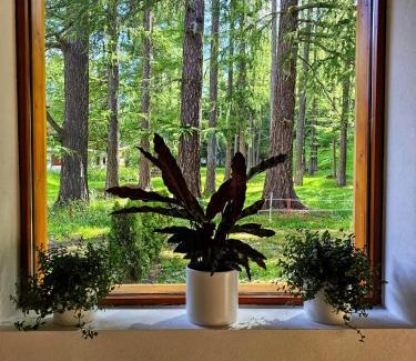 Obergoms Hotel | Lärchen Lodge