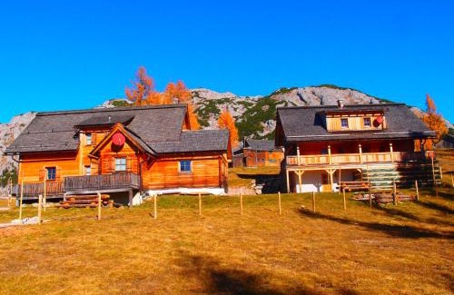 Tauplitz Apartment | Lärchenhütte