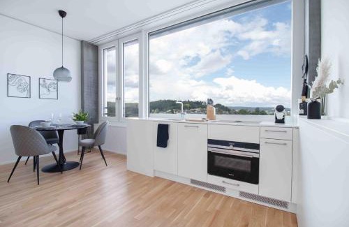 Neuhausen am Rheinfall Apartment | Löwe Apartments am Rheinfall