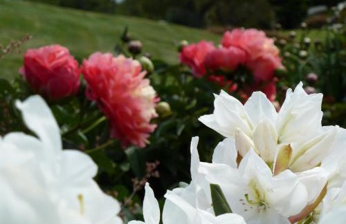 Akaroa Bed & Breakfast | L'abri Bed and Breakfast