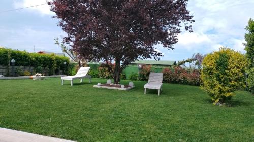 Miglianico House | L' acero rosso