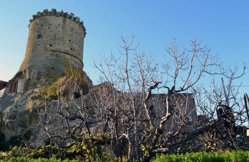 Forio House | L'Agrumeto