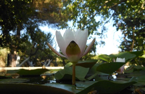 Maugeri Bed & Breakfast | L'Albero Di Alberto