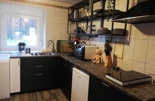 Stosswihr Apartment | l'antre du Sorcier (inspiré du monde Harry Potter)